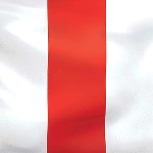 Puerto Rico Flag Nintendo 2DS XL (2017) Skin